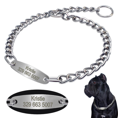 personalized dog collar with name