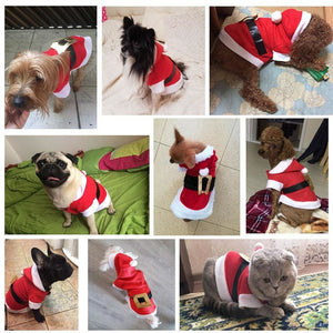 Pups! Santa Dog Costume - Pups Closet