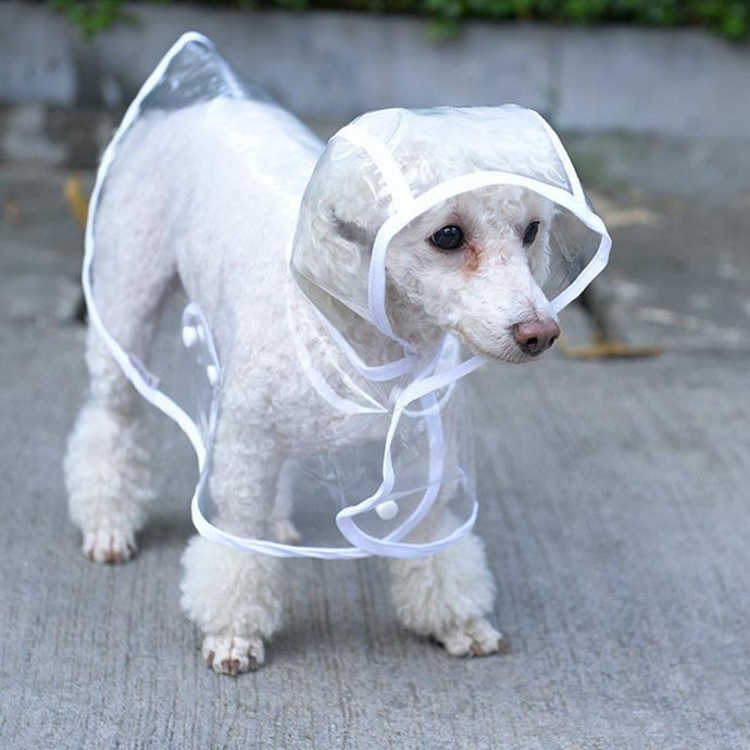 Pups! Transparent Raincoat - 3 colours available - Pups Closet
