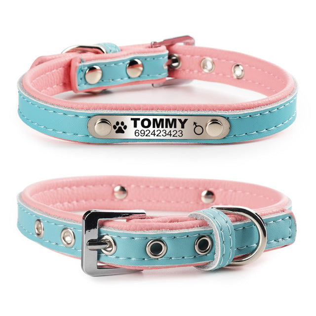 personalized dog collar with name