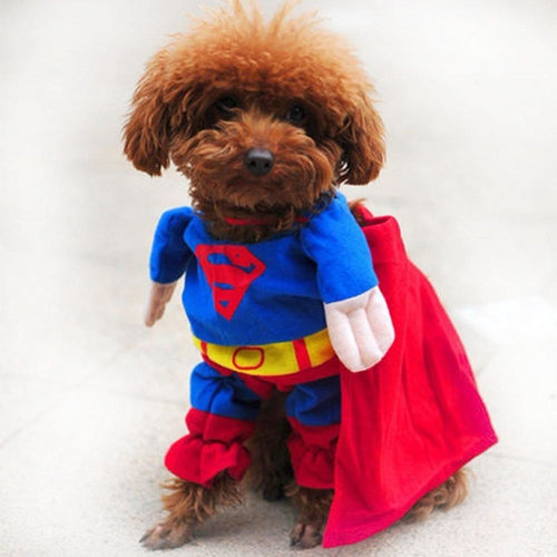 Pups! Superman Costume - Pups Closet