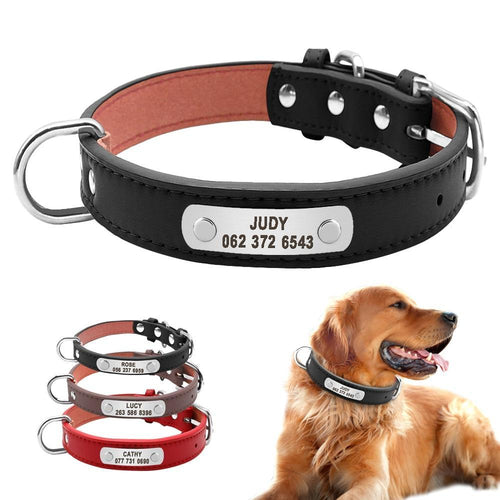 personalized dog collar with name
