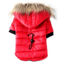 Load image into Gallery viewer, Pups! Winter Jacket With Soft Fur Hood - 3 colours available - Pups Closet