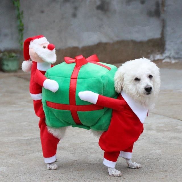 Pups! Santa Claus Gift Costume - Pups Closet