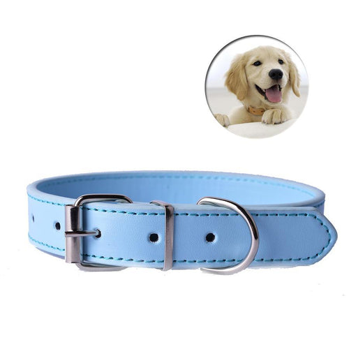Pups! Leather Collar - 8 colours available-Pups Closet