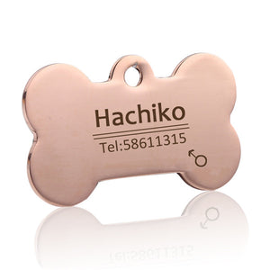 personalized dog collar with name