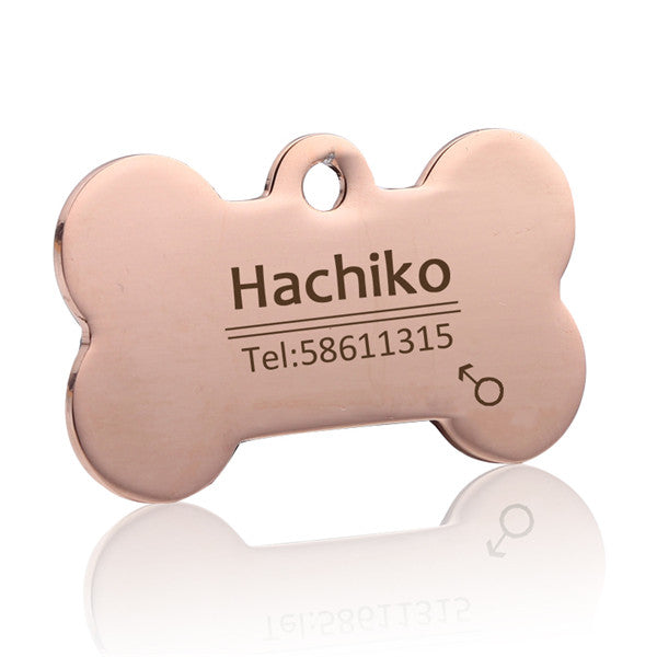 personalized dog collar with name