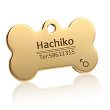 Load image into Gallery viewer, personalized dog collar with name