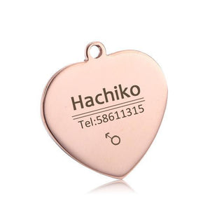 personalized dog collar with name