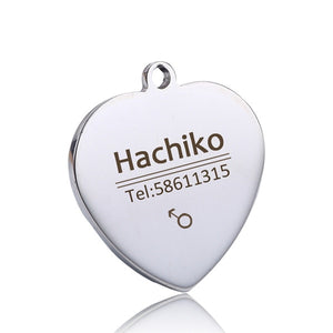 personalized dog collar with name