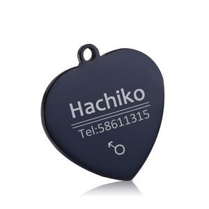 personalized dog collar with name