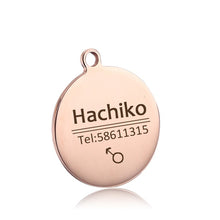 Load image into Gallery viewer, personalized dog collar with name