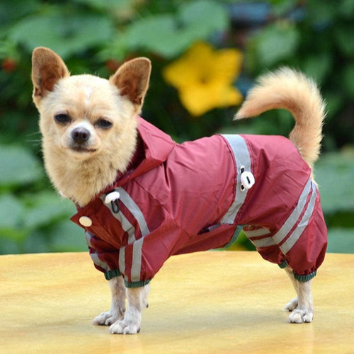Pups! Glisten Bar Raincoat - 3 colours available - Pups Closet