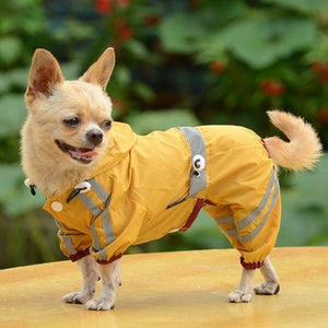 Pups! Glisten Bar Raincoat - 3 colours available - Pups Closet