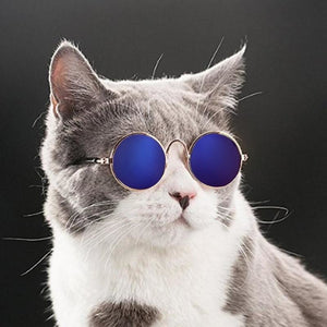 Pups! Fashion Sunglasses - 8 colours available - Pups Closet