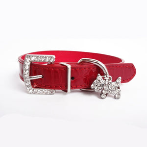 Pups! Crystal Leather Collar - 5 colours available-Pups Closet