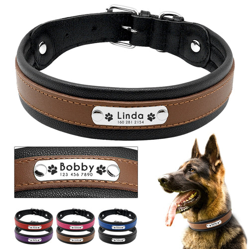 personalized dog collar with name