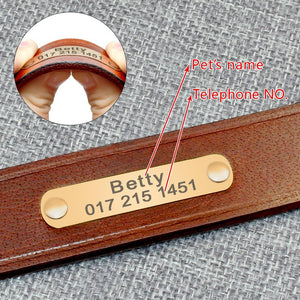 personalized dog collar with name