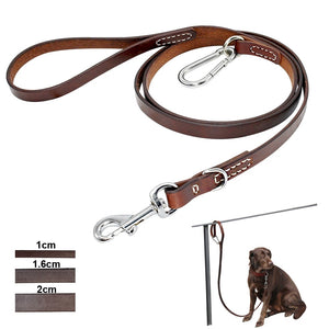 Pups! Leather Leash w/ Buckle
