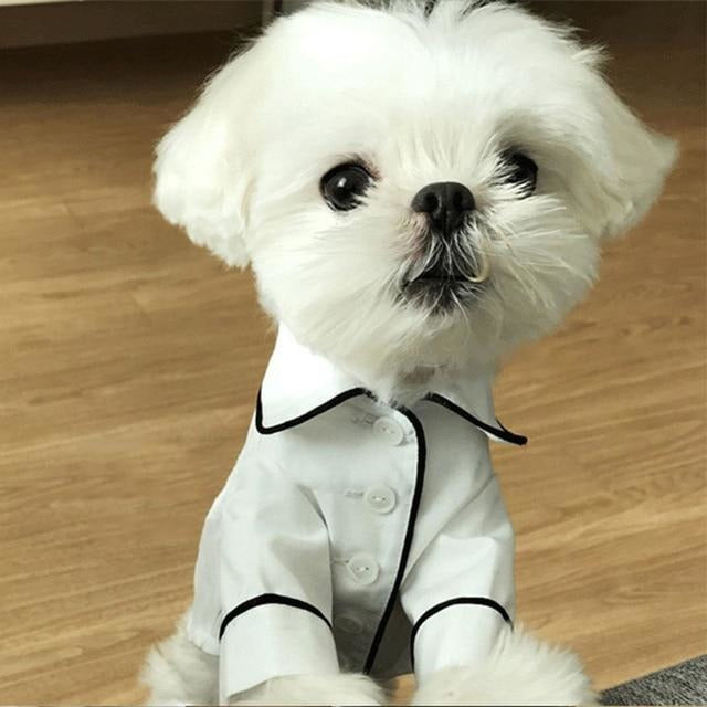 Pups! Pajama Shirt - 4 colours available - Pups Closet