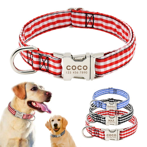 personalized dog collar with name