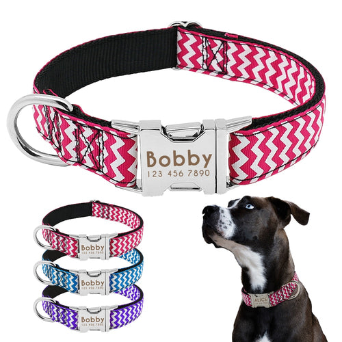 personalized dog collar with name