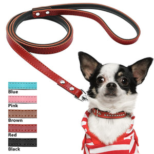 Pups! Leather Leash - 5 colours available