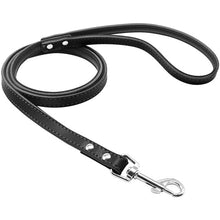 Load image into Gallery viewer, Pups! Leather Leash - 5 colours available
