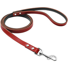 Load image into Gallery viewer, Pups! Leather Leash - 5 colours available