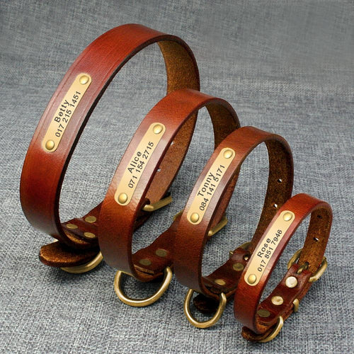 personalized dog collar with name