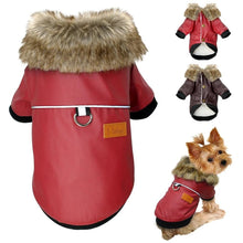 Load image into Gallery viewer, Pups! Faux Leather Jacket - 2 colours available - Pups Closet