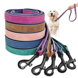 Pups! Leather Leash - 5 colours avaiable - Pups Closet