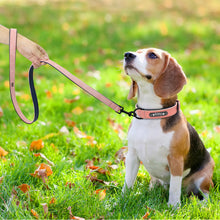 Load image into Gallery viewer, personalized dog collar with name