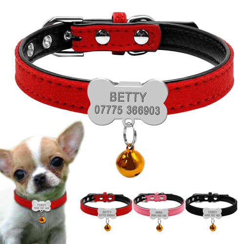 personalized dog collar with name
