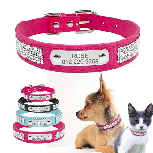personalized dog collar with name