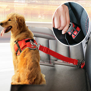 Pups! Seatbelt Lead - 8 colours available - Pups Closet