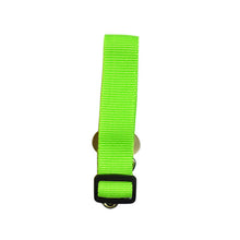 Load image into Gallery viewer, Pups! Seatbelt Lead - 8 colours available - Pups Closet