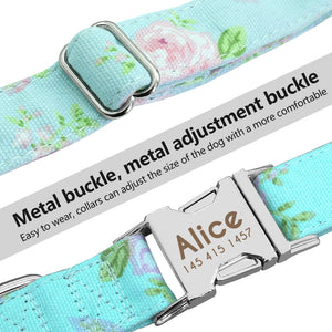 personalized dog collar with name