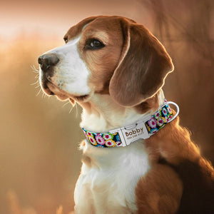personalized dog collar with name