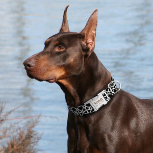 personalized dog collar with name